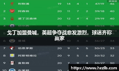 戈丁加盟曼城，英超争夺战愈发激烈，球迷齐称赢家