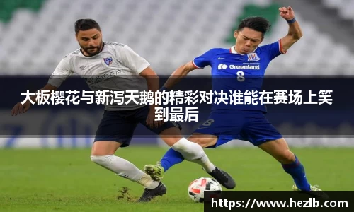 Lewin乐玩